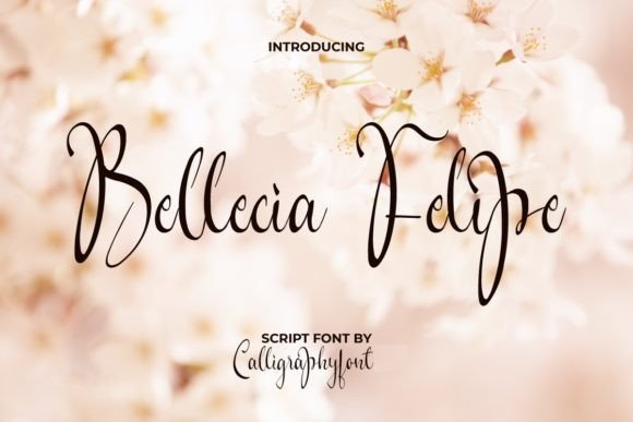 Bellecia Felipe: A Font with a Feminine Touch