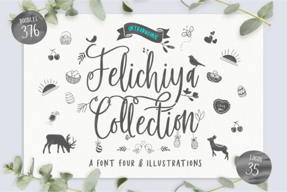 Felichiya Collection: The Organic Font for Modern Design