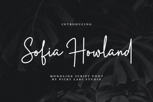 Sofia Howland: The Elegant Script for Elevated Design